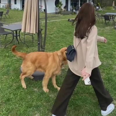 且行且珍惜